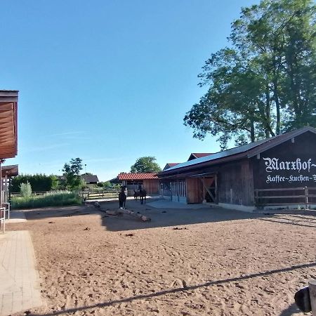 Tiny X Im Marxhof Seebruck Am Chiemsee Seeon-Seebruck Eksteriør billede