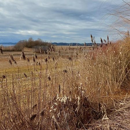 Tiny X Im Marxhof Seebruck Am Chiemsee Seeon-Seebruck Eksteriør billede