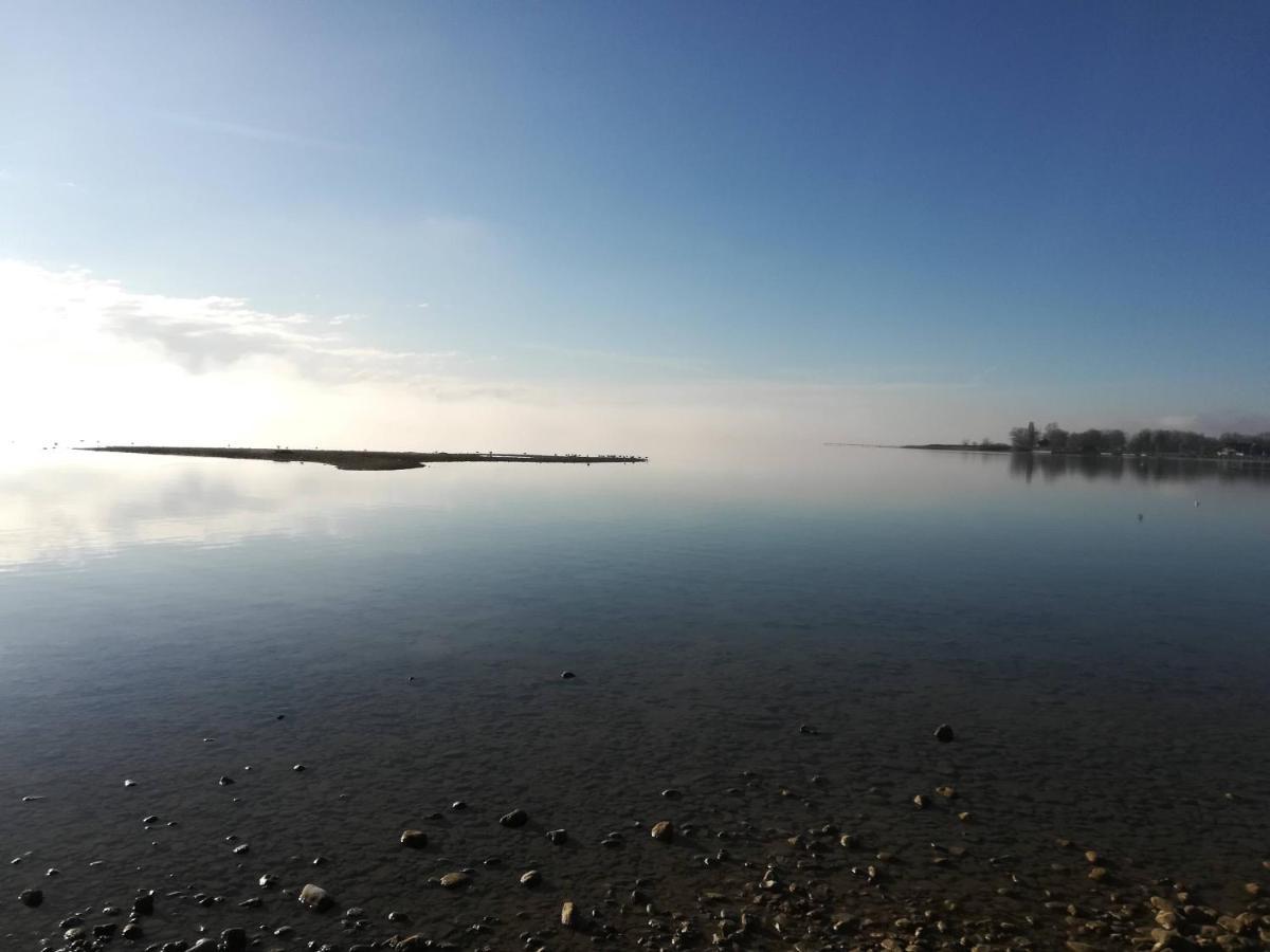 Tiny X Im Marxhof Seebruck Am Chiemsee Seeon-Seebruck Eksteriør billede